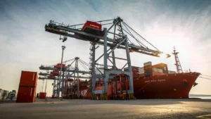 kn. cámara de senadores (5)